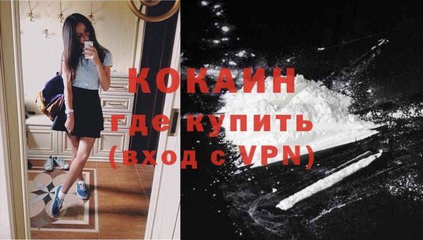 прущая мука Дмитриев