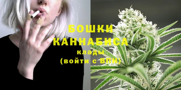 прущая мука Дмитриев