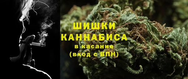 прущая мука Дмитриев