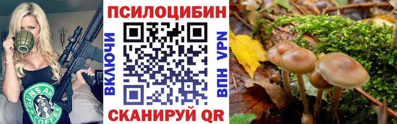 Псилоцибиновые грибы GOLDEN TEACHER  Купить где  Балабаново 